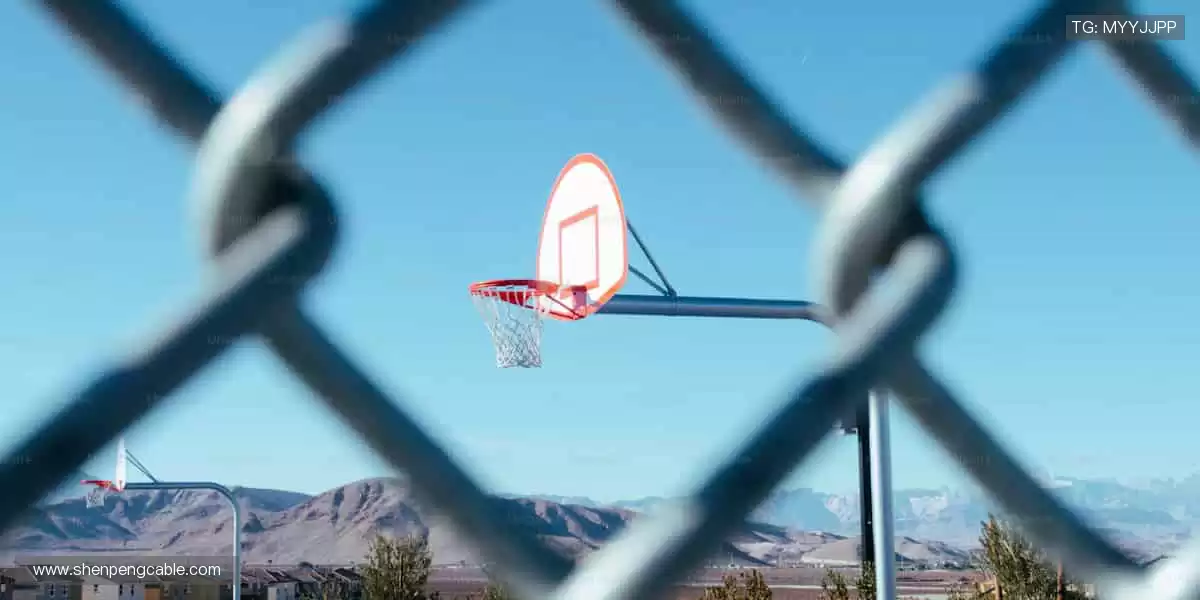 从训练场到直播间,我们与你同在!🏟️📱